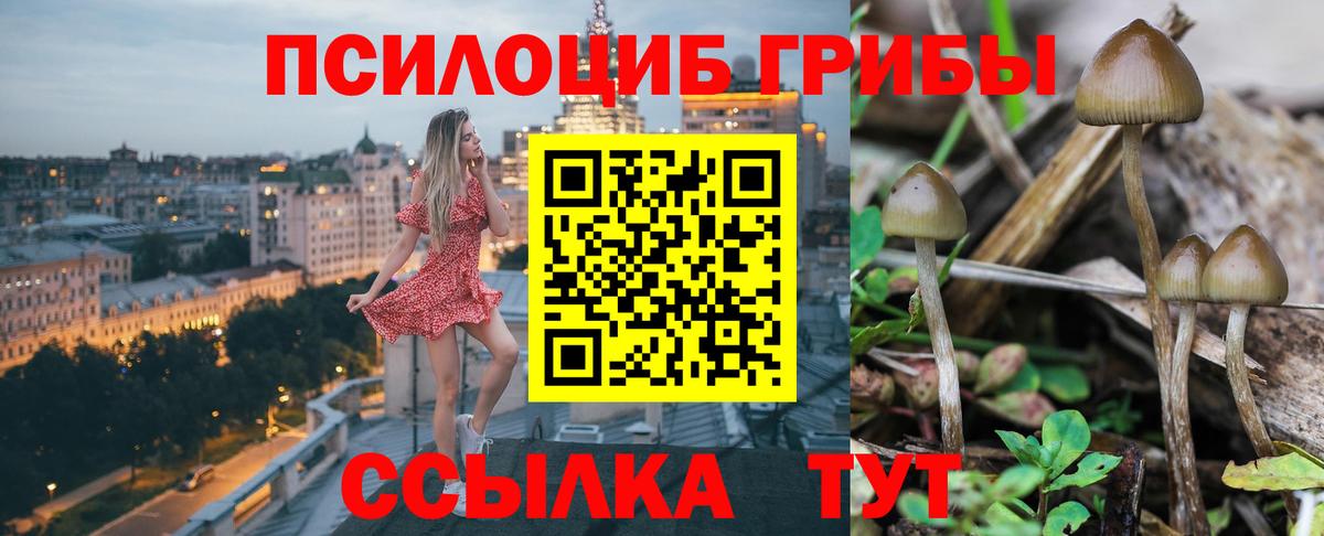 Псилоцибиновые грибы мицелий Саяногорск