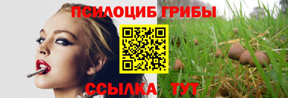 Галлюциногенные грибы Magic Shrooms  закладка  Саяногорск  Галлюциногенные грибы Magic Shrooms  Вход с VPN 